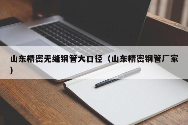 山東精密無縫鋼管大口徑（山東精密鋼管廠家）