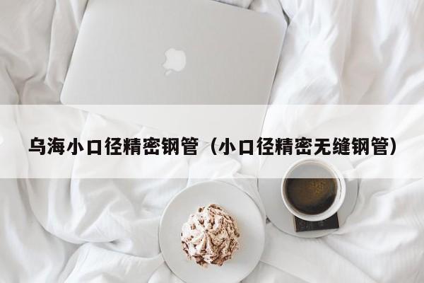 烏海小口徑精密鋼管（小口徑精密無縫鋼管）