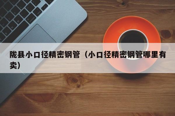 隴縣小口徑精密鋼管（小口徑精密鋼管哪里有賣）