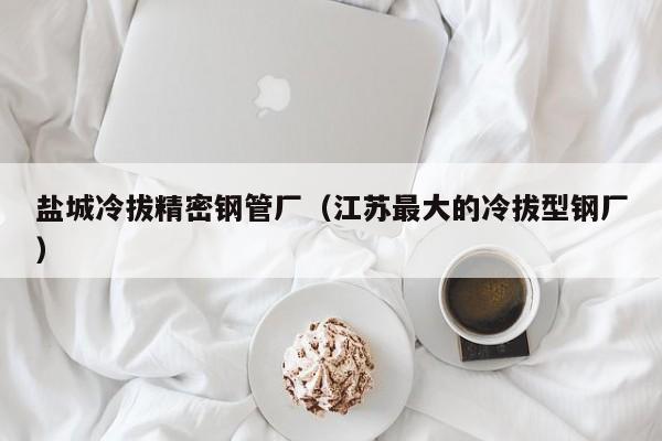 鹽城冷拔精密鋼管廠（江蘇最大的冷拔型鋼廠）
