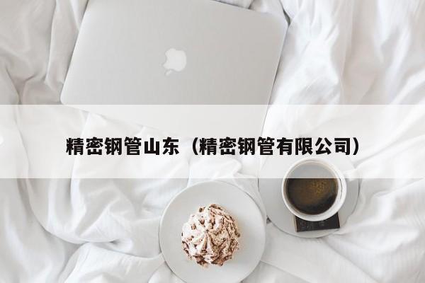 精密鋼管山東（精密鋼管有限公司）