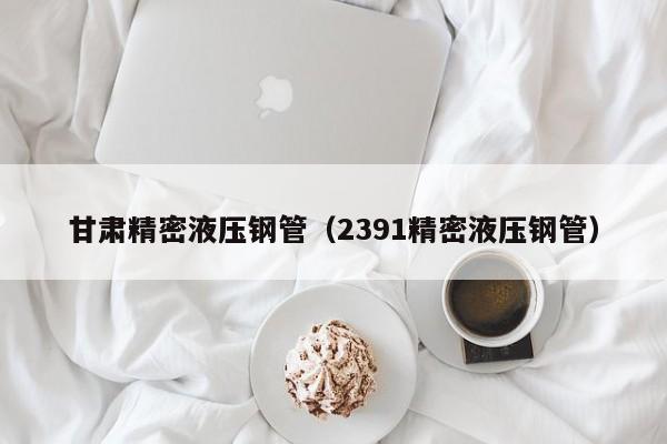 甘肅精密液壓鋼管（2391精密液壓鋼管）