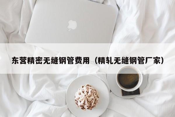 東營(yíng)精密無縫鋼管費(fèi)用（精軋無縫鋼管廠家）